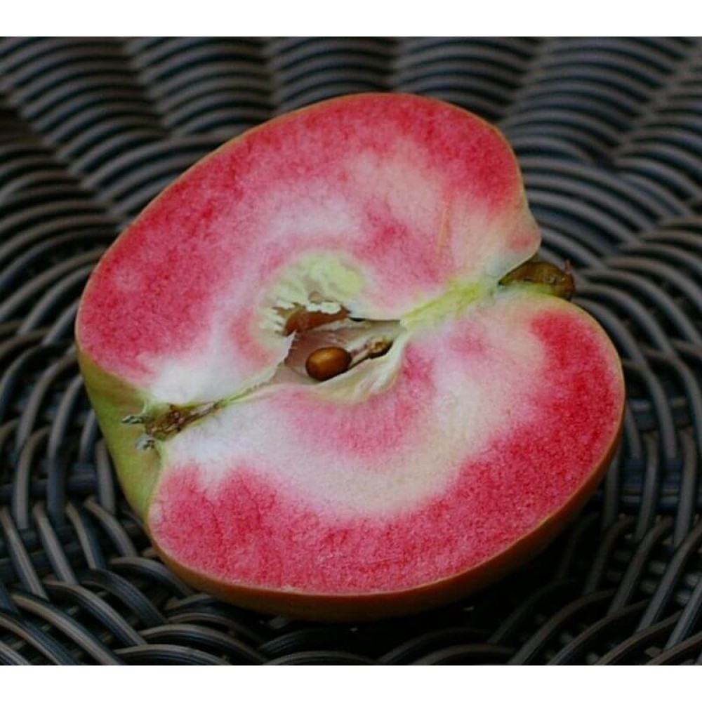 Розовые яблоки сорт. Яблоня Пинк Перл. Яблоня розовый жемчуг (красная мякоть). Сорт яблок -Пинк Перл (Pink Pearl). Яблоня Пинк Перл красномясая.